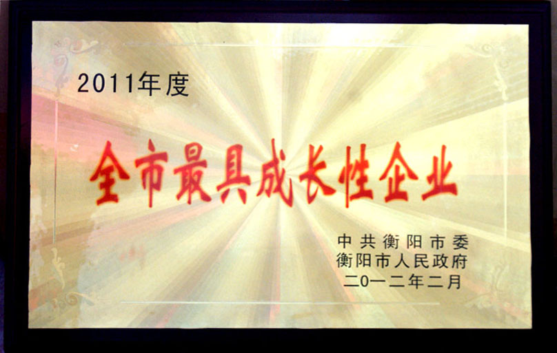 公司部分榮譽(yù)資質(zhì)