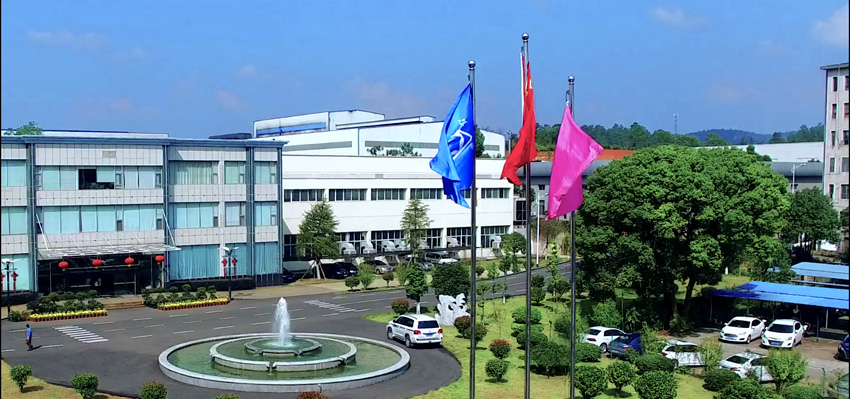 公司風(fēng)采展示(一)